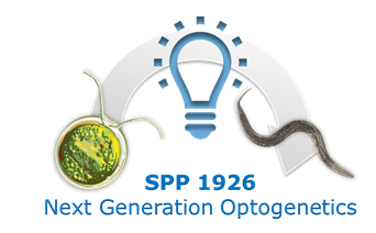 Next Generation Optogenics SPP 1926 Logo.